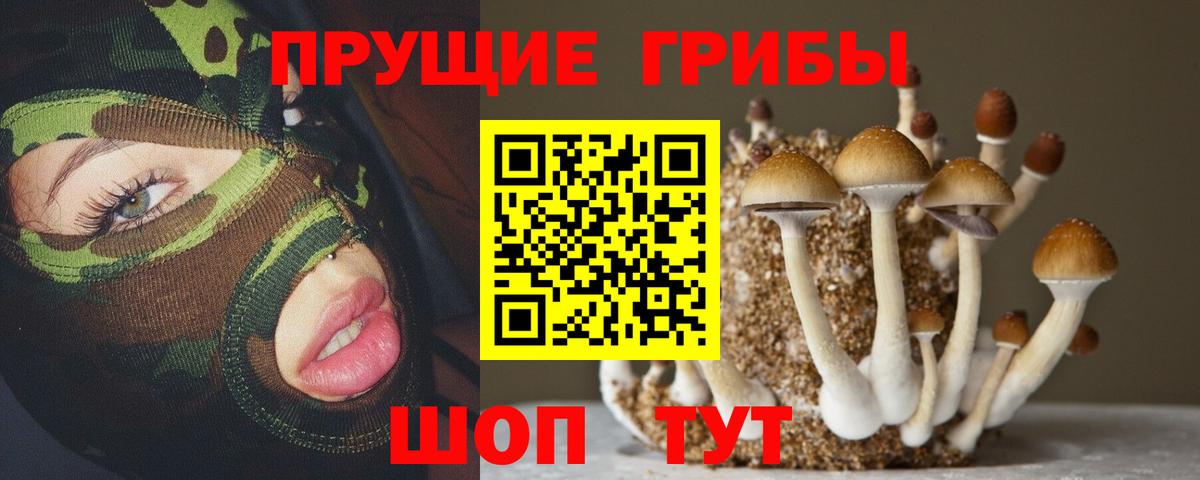 Галлюциногенные грибы GOLDEN TEACHER Верхний Уфалей